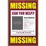 14  Missing Person Poster Templates Excel PDF Formats