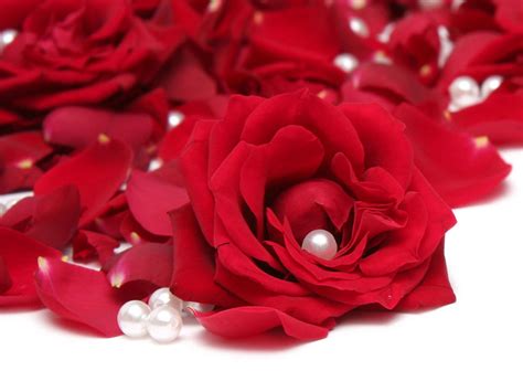 Red rose on the beach with a heart in the sand. rose wallpapers, red rose wallpapers, roses, pictures of ...