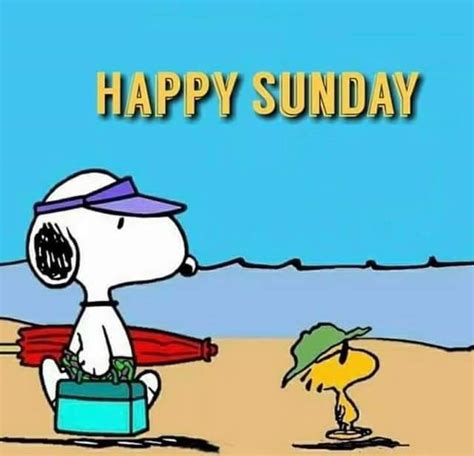 Happy Sunday All 8 Good Morning Snoopy Snoopy Love Snoopy Images