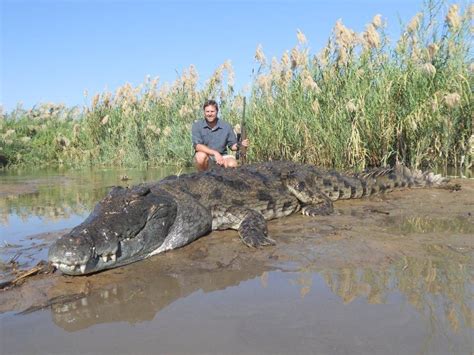 7 Day Crocodile Hunt For One Hunter And One Non Hunter In Mozambique