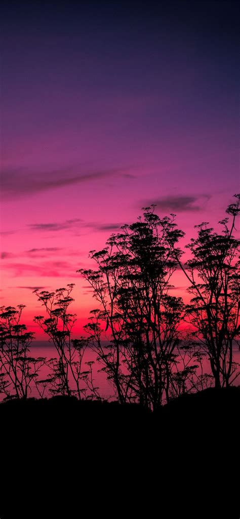 Pink Sunset Lake Side 5k Iphone 11 Wallpapers Free Download