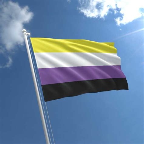 PrideOutlet > Non-Binary > Non Binary - 3' x 5' Polyester Flag w/Metal 