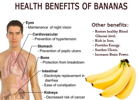 Best Sex Food Eat Banana Everyday To Keep Low Energy Away