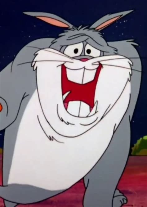 Fan Casting Tom Kenny as Ricochet Rabbit in Toon Adventures: Rabbit Ice