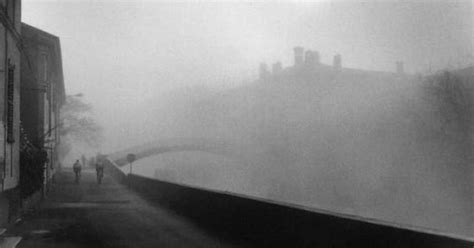 Lontano, nel cuore della foresta, un bestione enorme e simpaticone s'alza avanti giorno, fa una toletta sommaria e si mette ad aspettare. Il canto delle sirene: Nella bianchissima nebbia