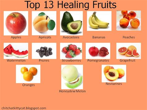 Chit Chat With Kitty Cat Top 13 Healing Fruits