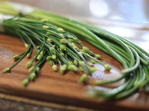 Difference Between Garlic Scapes And Garlic Chives