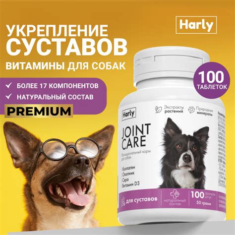 Витамины для собак и щенков для костей суставов и связок 100 таблеток ...