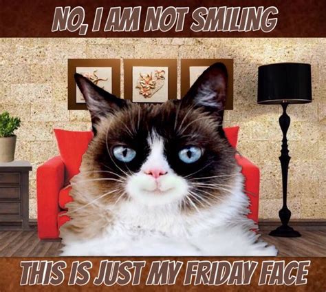 No Im Not Smiling This Is My Friday Face 😸 Grumpy Cat Humor Funny
