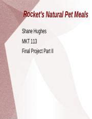 Final Project Part Ii Product Marketing Recommendations Odp Rocket S