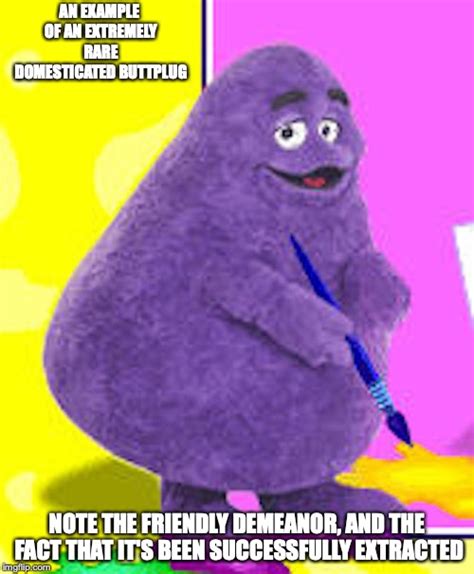 Grimace Imgflip