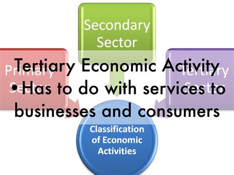 Tertiary Economic Activity Definition : Tertiary Economic Activity Definition / Tertiary ...