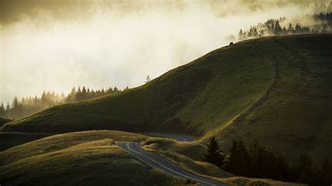 Wallpaper Sunlight Trees Landscape Forest Sunset Hill Nature