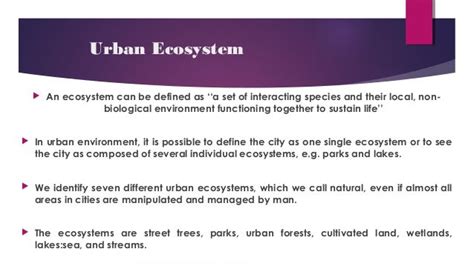 Ecological Function In Urban Enivronment