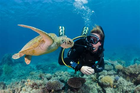 Great Barrier Reef Tour Scuba Dive Snorkel Tour Reef Sites