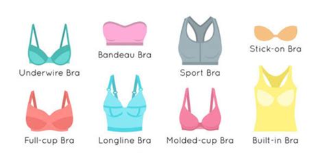 bra cup size chart smallest to largest