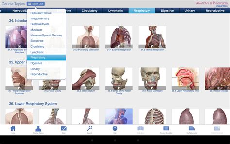 Anatomy And Physiology Apk For Android Download