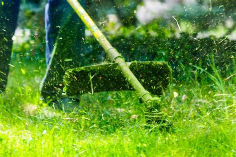 Everything You Need To Know About Grass Cutting Including When Its Cut