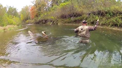 Fly Fishing The Current River Youtube