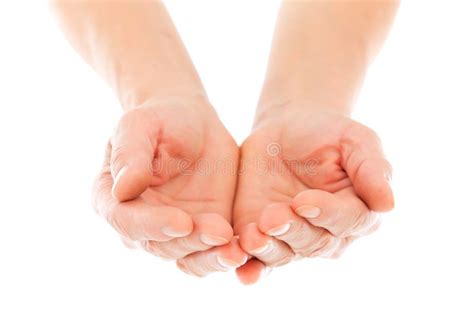 95466 Giving Hands Stock Photos Free And Royalty Free Stock Photos