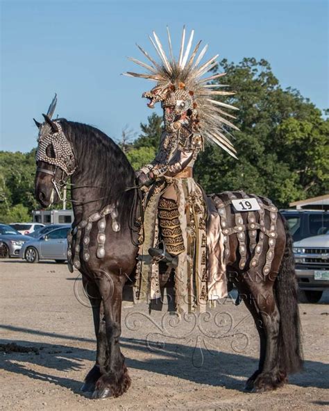 New England Friesian Horse Club Awesome Costume Horse Costumes