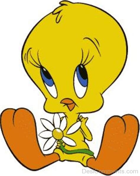 Tweety Bird Pictures Images Graphics For Facebook