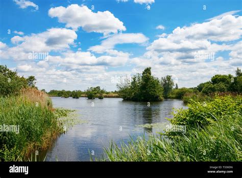Typical Dutch Flat Landscape Wetlands Wetlands On A Sunny Day Onder A