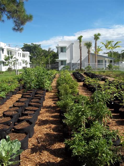 City Of Fort Lauderdale Fl Urban Farming And Community