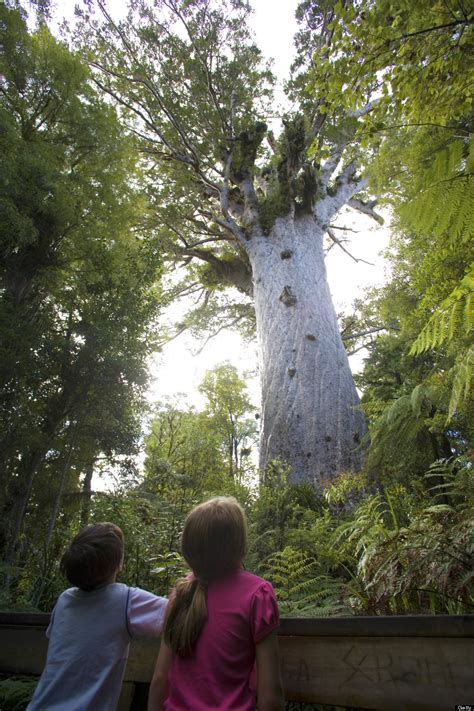 Listen to mahuta | soundcloud is an audio platform that lets you listen to what you love and share the sounds you create. 22 Epic Places You Didn't Know Existed | HuffPost