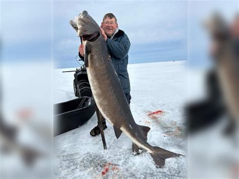 Wisconsin Fisherman Spears Record Sized Sturgeon Outdoor Life