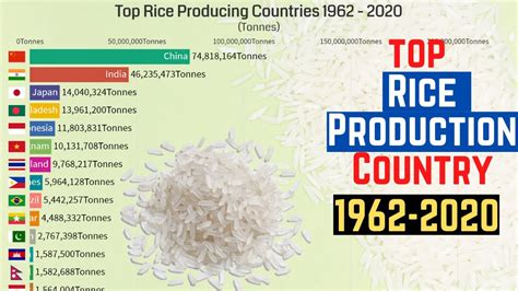 Top Rice Producing Countries 1962 To 2020 Top Countries By Rice