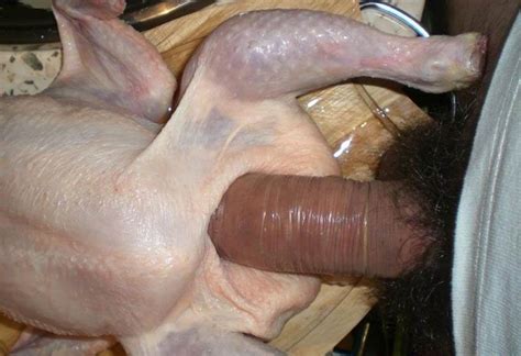 Chicken Fucker Porn Porn Sex Photos