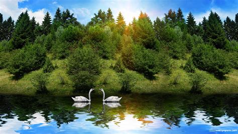 Beautiful Nature Wallpaper Pixelstalknet