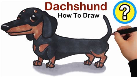 How To Draw A Dachshund Puppy Dog Easy Youtube Cute Dog Drawing