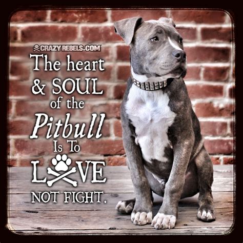 The Heart And Soul Of A Pit Bull Is To Lovenot To Fight Duh