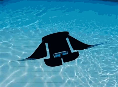 Manta Ray Robot Proposes Future Of Fast Autonomous Underwater Vehicles