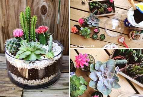 Once the white paint has dried, use the black permanent marker to make the centers of the eyes. DIY Cactus Garden Idea | Home Design, Garden ...