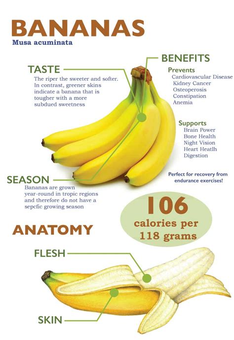 10 Proven Health Benefits Of Bananas Page 7
