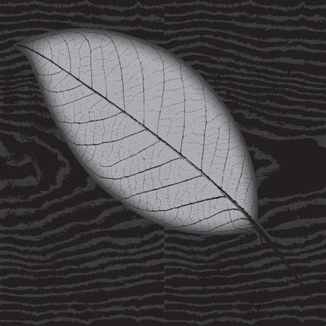 Premium Vector Leaf Design Black Pattern