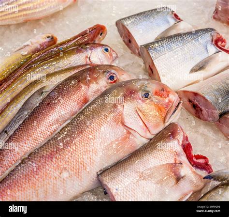 Whole Fresh Fishes Are Offered In The Fish Market In Asia Stock Photo