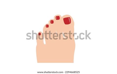 Female Toe Attractive Feet On White Stock Vector Royalty Free Shutterstock