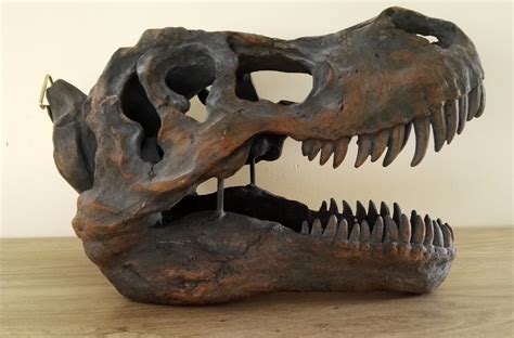 A Large T Rex Skull Wall Mounted Dinosaur Head