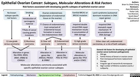 Epithelial Ovarian Cancer Subtypes Molecular Alterations Risk Factors
