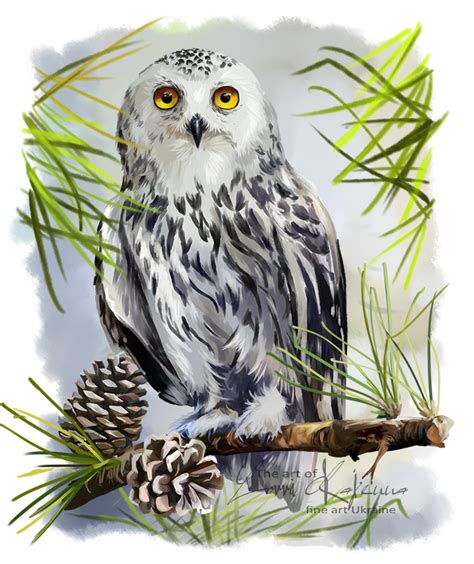 Snowy Owl By Kajenna Owls Drawing Bird Drawings Animal Drawings Owl