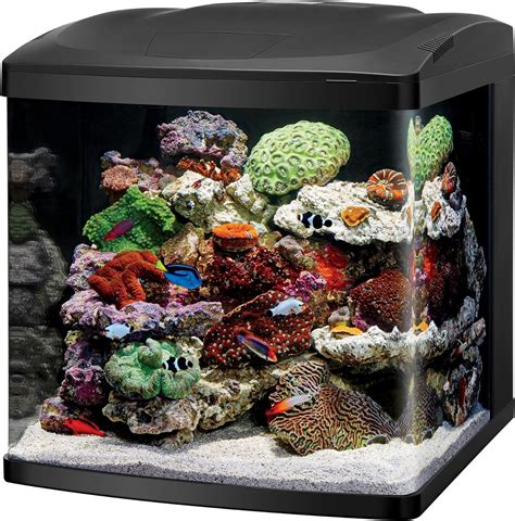 Best 30 Gallon Fish Tanks 2020 Get Aquarium Fish
