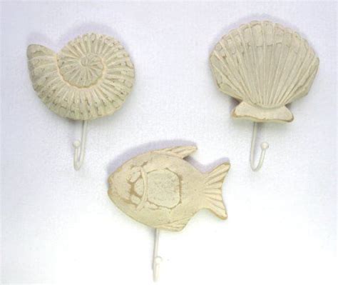 This size would fill the space and work well in my situation. Amazon.com - Tropical Fish Nautilus and Clam Shell Wooden ...
