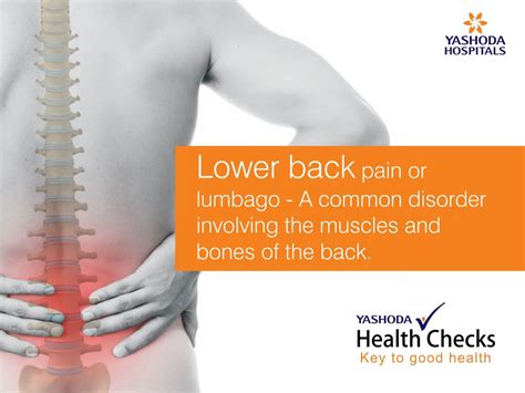 Lower Back Pain Or Lumbago A Common Disorder Involving The Muscles