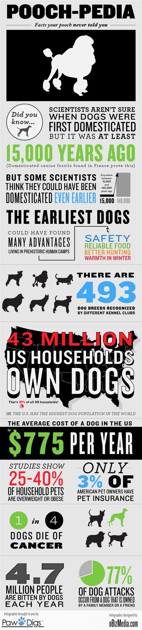 Pooch-pedia: Facts Your Pooch Never Told You #dogs | Dog infographic, Told you so, Infographic