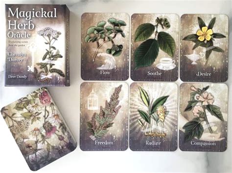 Magickal Herb Oracle Deck 36 Cards And Guidebook Enchanting Etsy