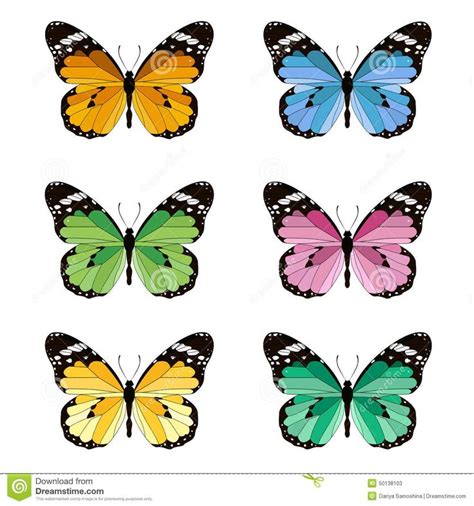 Six Colorful Butterflies On White Background Stock Photo Image